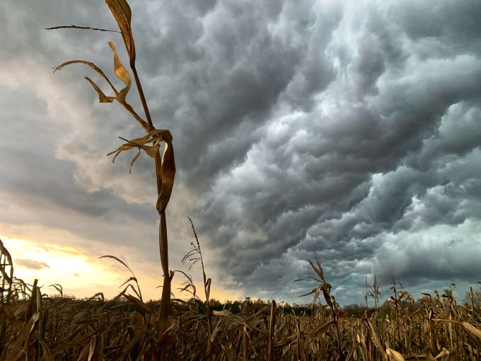 Mark Robinson: Underside of a shelf cloud near Shelburne, Ontario on October 24, 2020.
