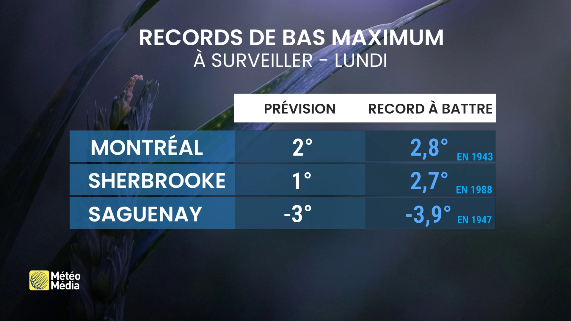 Lundi au Québec : grand retour du gel