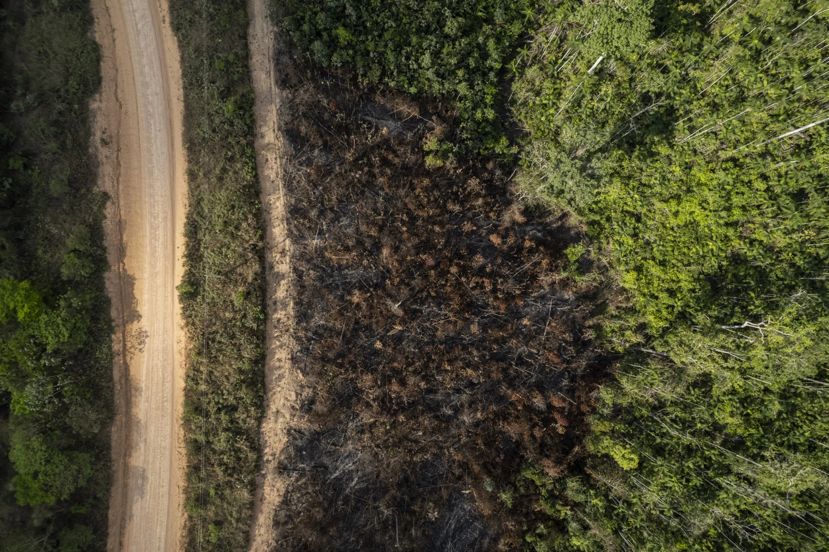 destruction in the amazon rainforest (Anderson Coelho/ E+/ Getty Images)