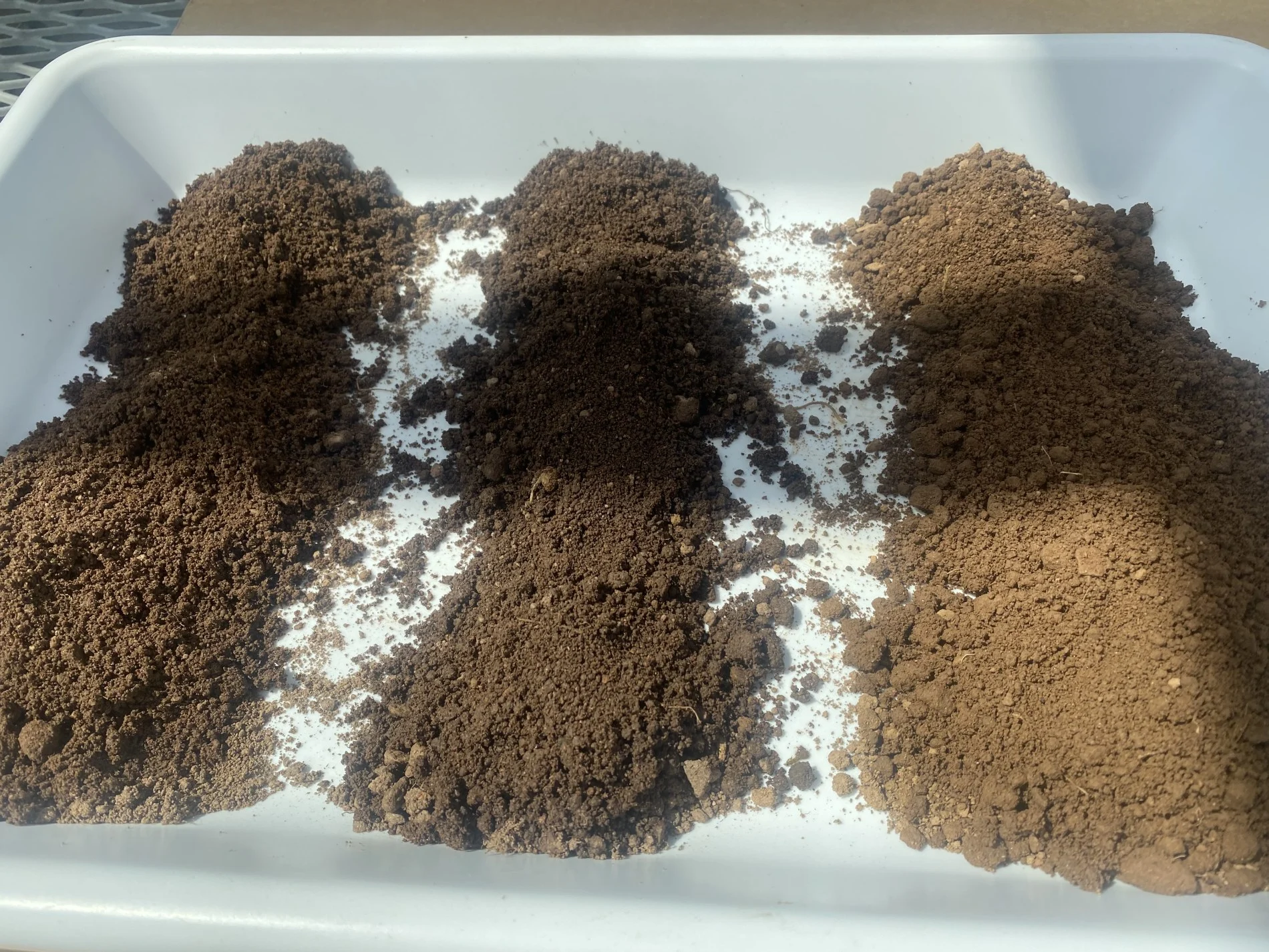 Various kinds of soil used to experiment with biochar. (Nathan Coleman)
