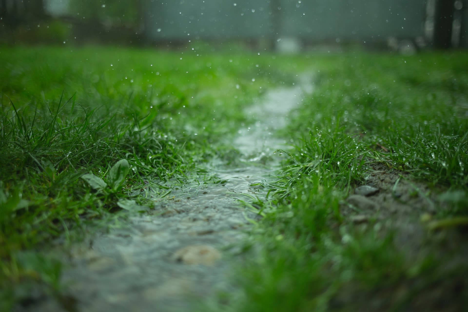Impactful storm batters parts of the Maritimes with rain, howling winds  - The Weather Network