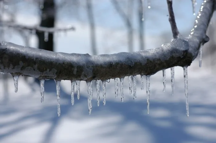 Hiver doux ou hiver froid : lequel est le plus favorable au verglas