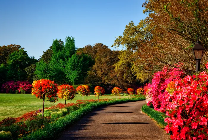 Living near green spaces can reduce stroke risk, study finds