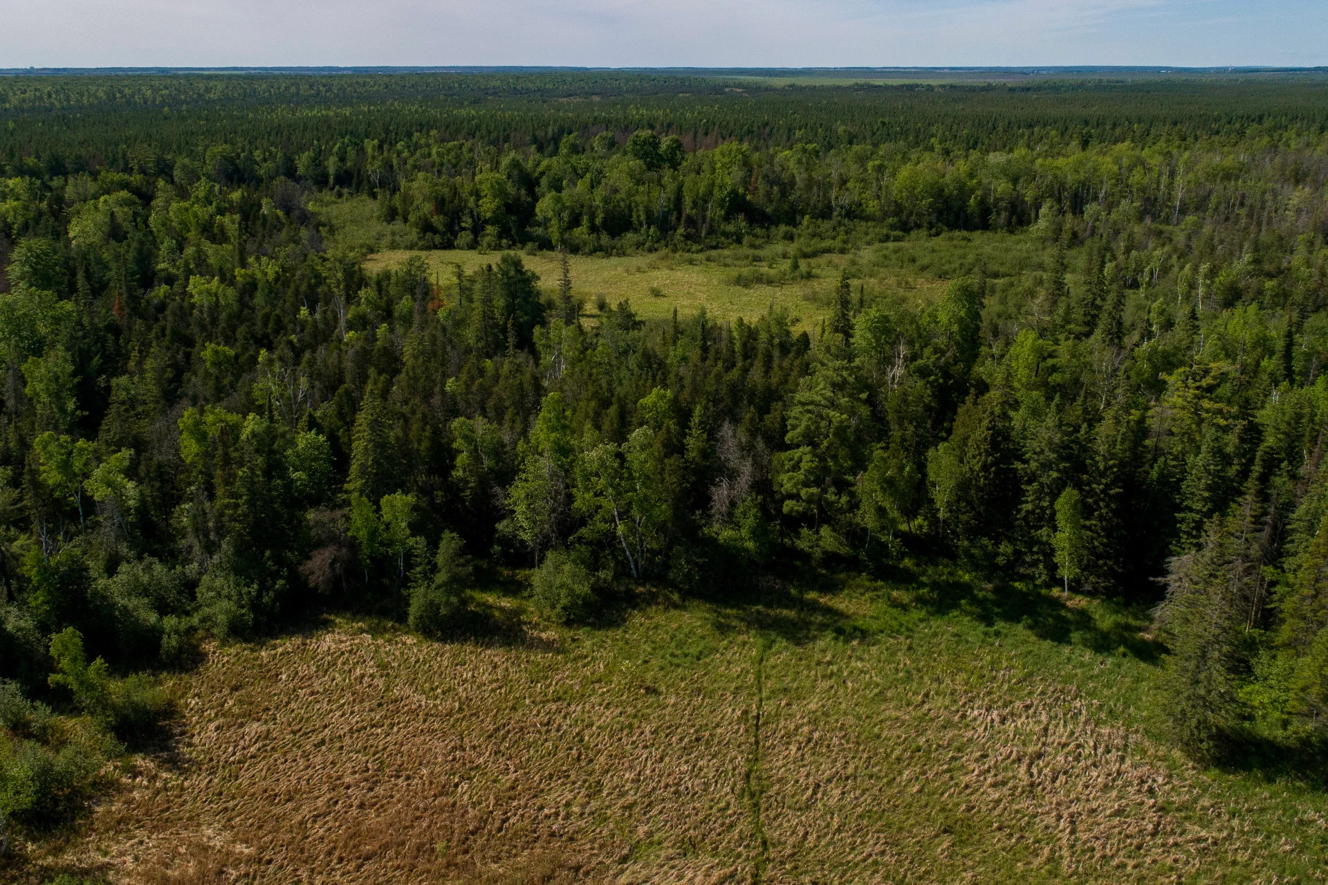 Minesing Wetland Credit: NCC