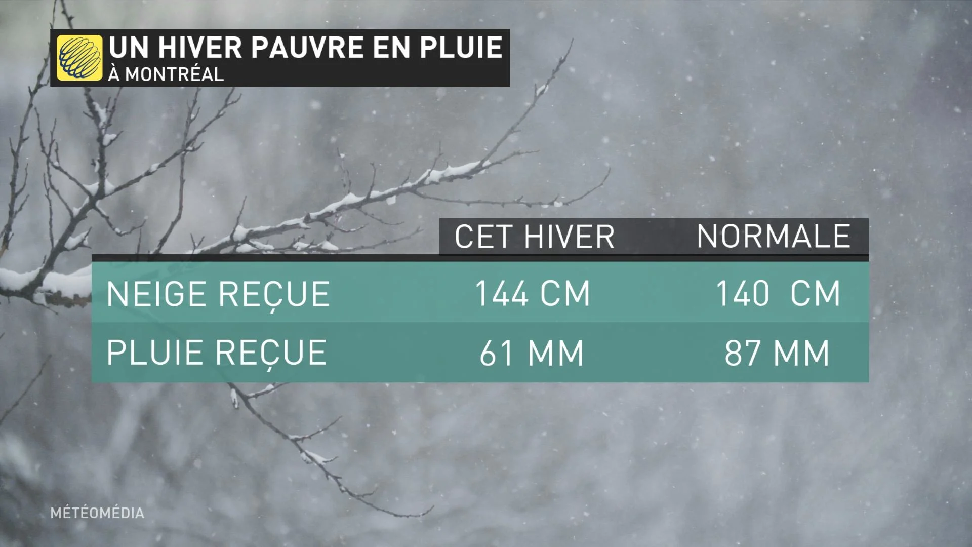 TABLEAU PLUIE NEIGE