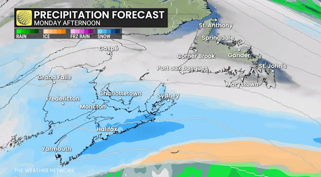 Closures rack up as major winter storm wallops Atlantic Canada - The ...