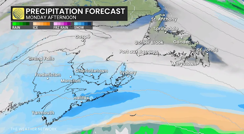 Closures rack up as major winter storm wallops Atlantic Canada - The ...