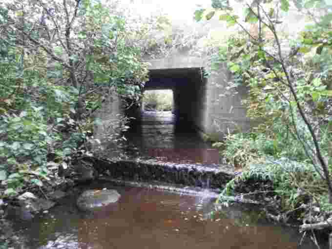 Culvert in Wolastoq watershed in Saint John River, N.B./Submitted