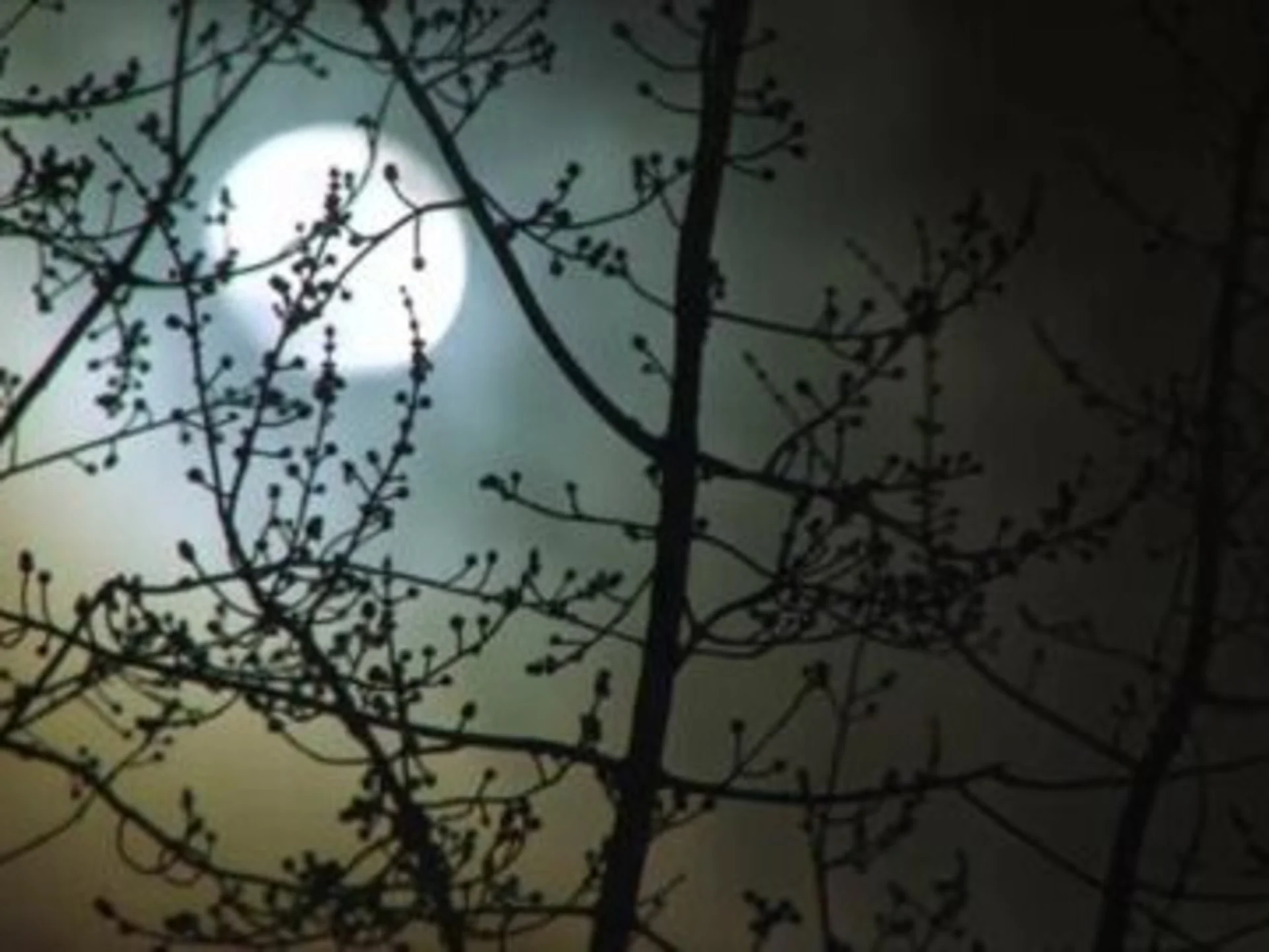 Lune de janvier : à fendre les pierres