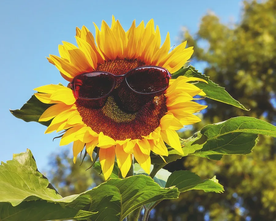 Est-ce qu'on peut attraper un coup de soleil aux yeux ?