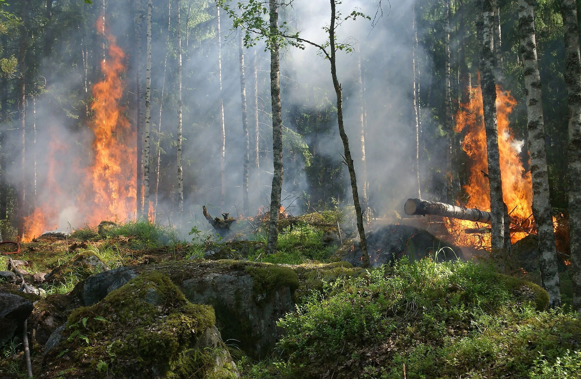 Au printemps, le contexte est propice aux feux de forêt