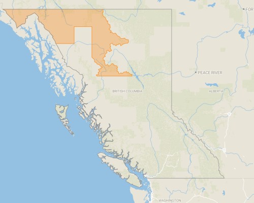 Residents urged to take precautions as wildfire smoke comprises air quality  in parts of B.C.