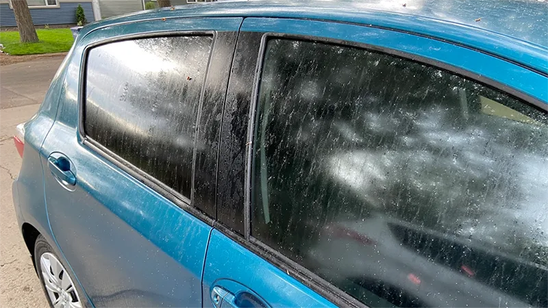 Gare à votre auto : il pleut des crottes d'insectes !