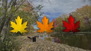 Couleurs d’automne : des secteurs déjà à l’apogée