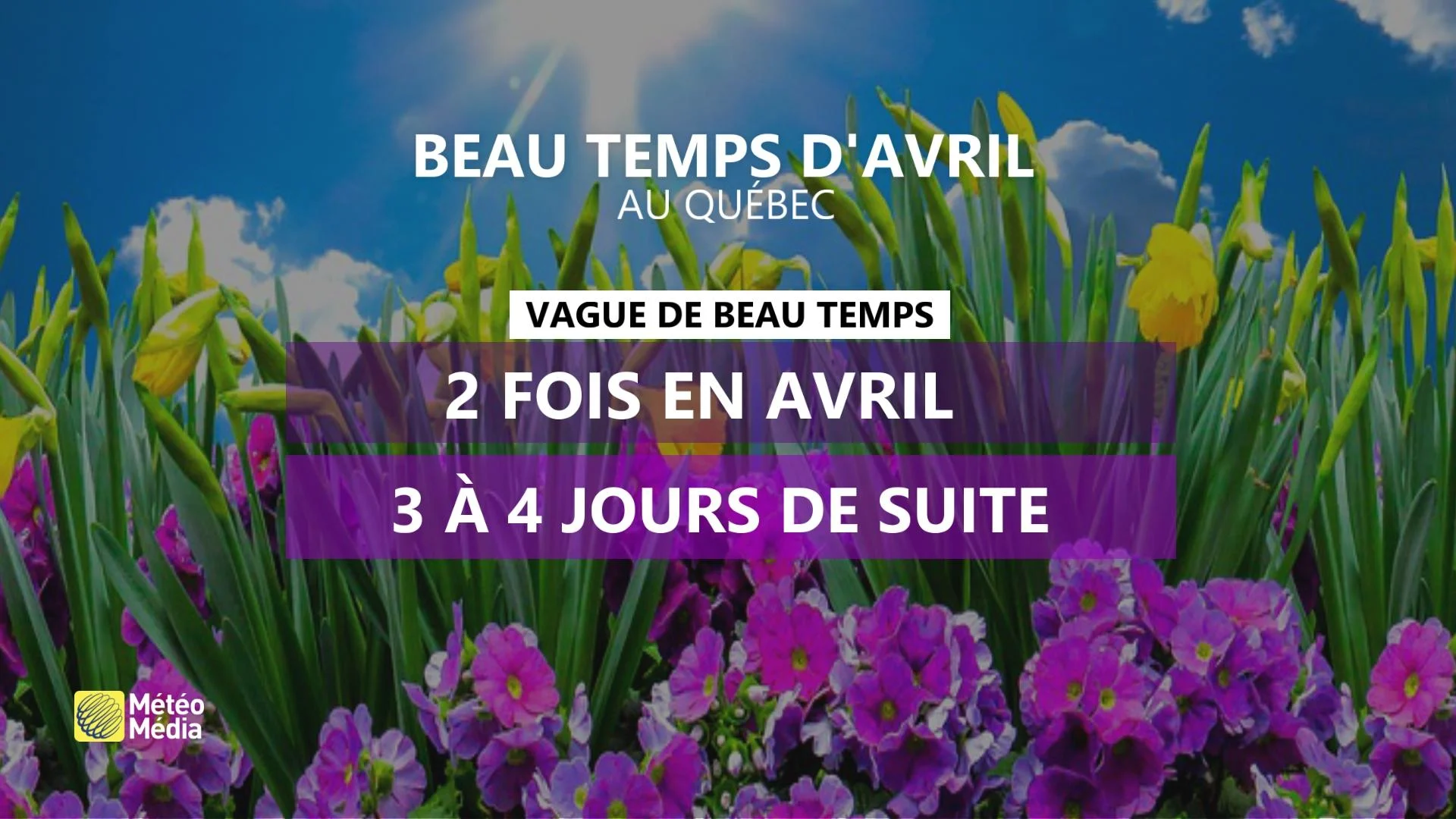 ÉCLIPSE4 BEAU TEMPS