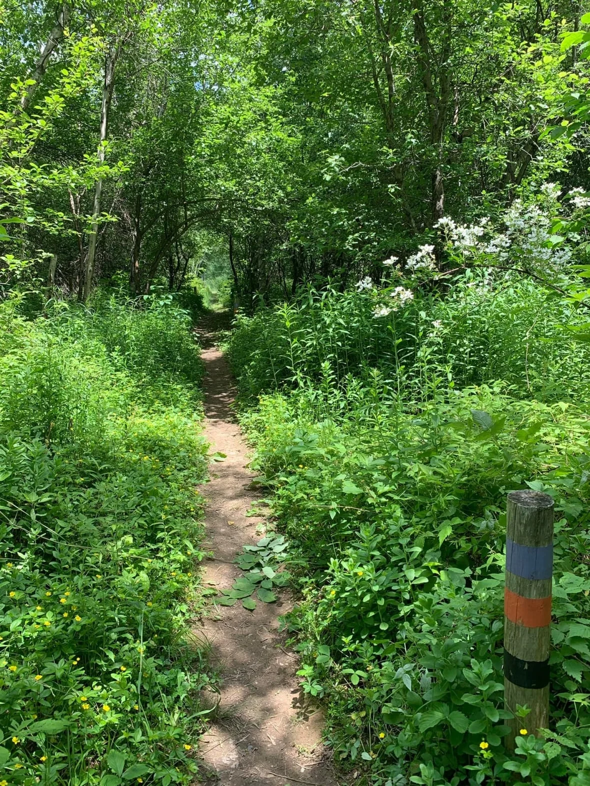 nature-trail/Holly Melanson/Facebook via CBC