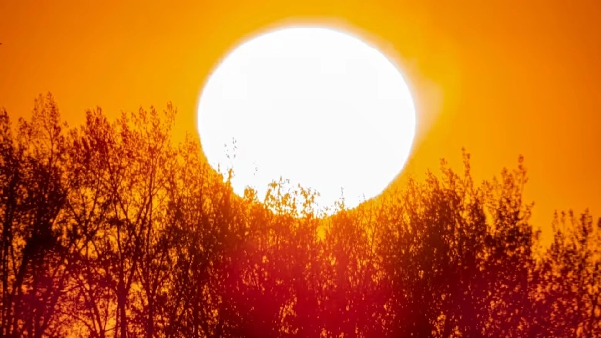 Environment Canada says it can rapidly link high-heat events to climate change