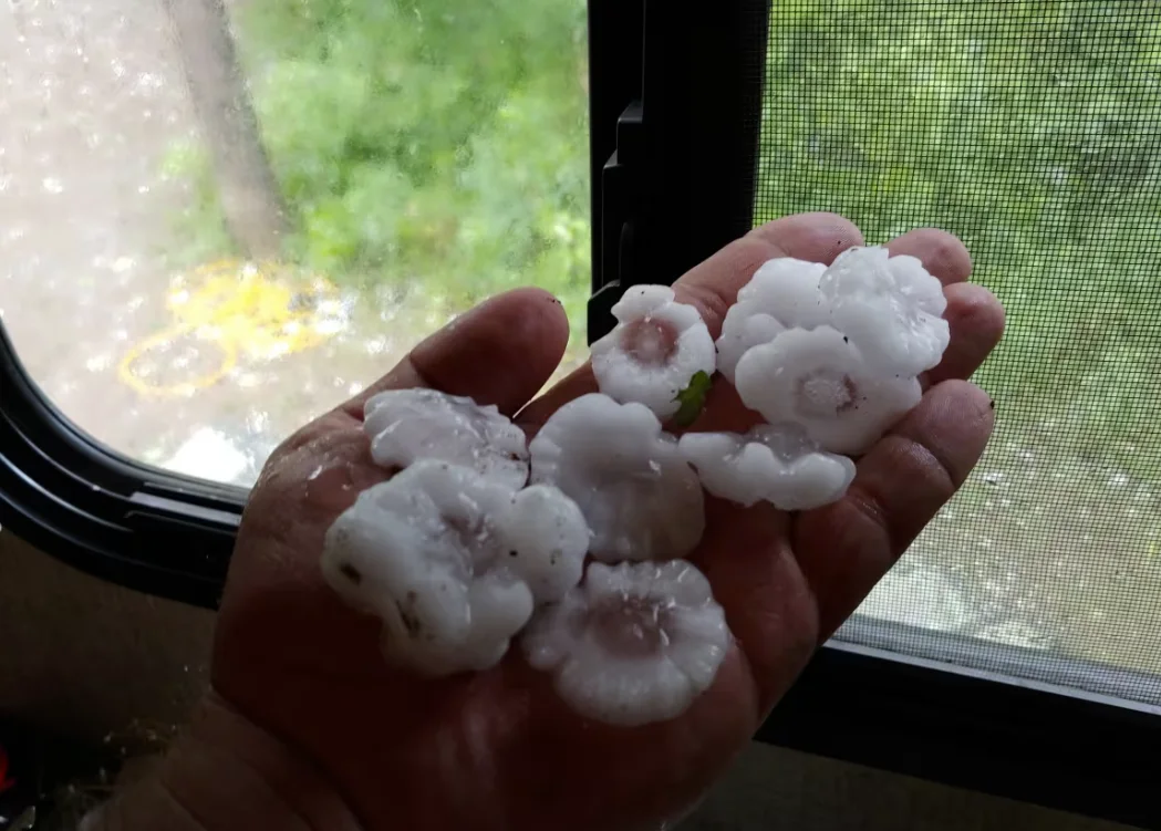 CBC: Golf ball-sized hail pelted Saskatchewan Wednesday evening. (Submitted by Cory Herperger)