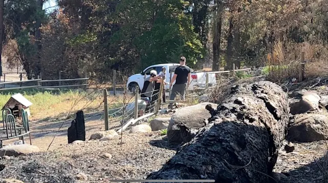 Evacuees return to areas near West Kelowna destroyed by McDougall Creek ...