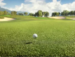 Golf lovers, here's how to take your game to the next level!