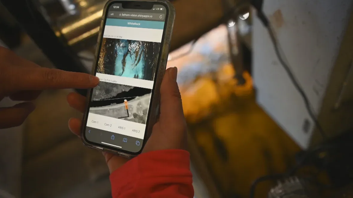 ai-technology-provided-real-time-fish-counts-to-a-mobile-app-it-could-replace-much-slower-manual-fi/Innovasea via CBC