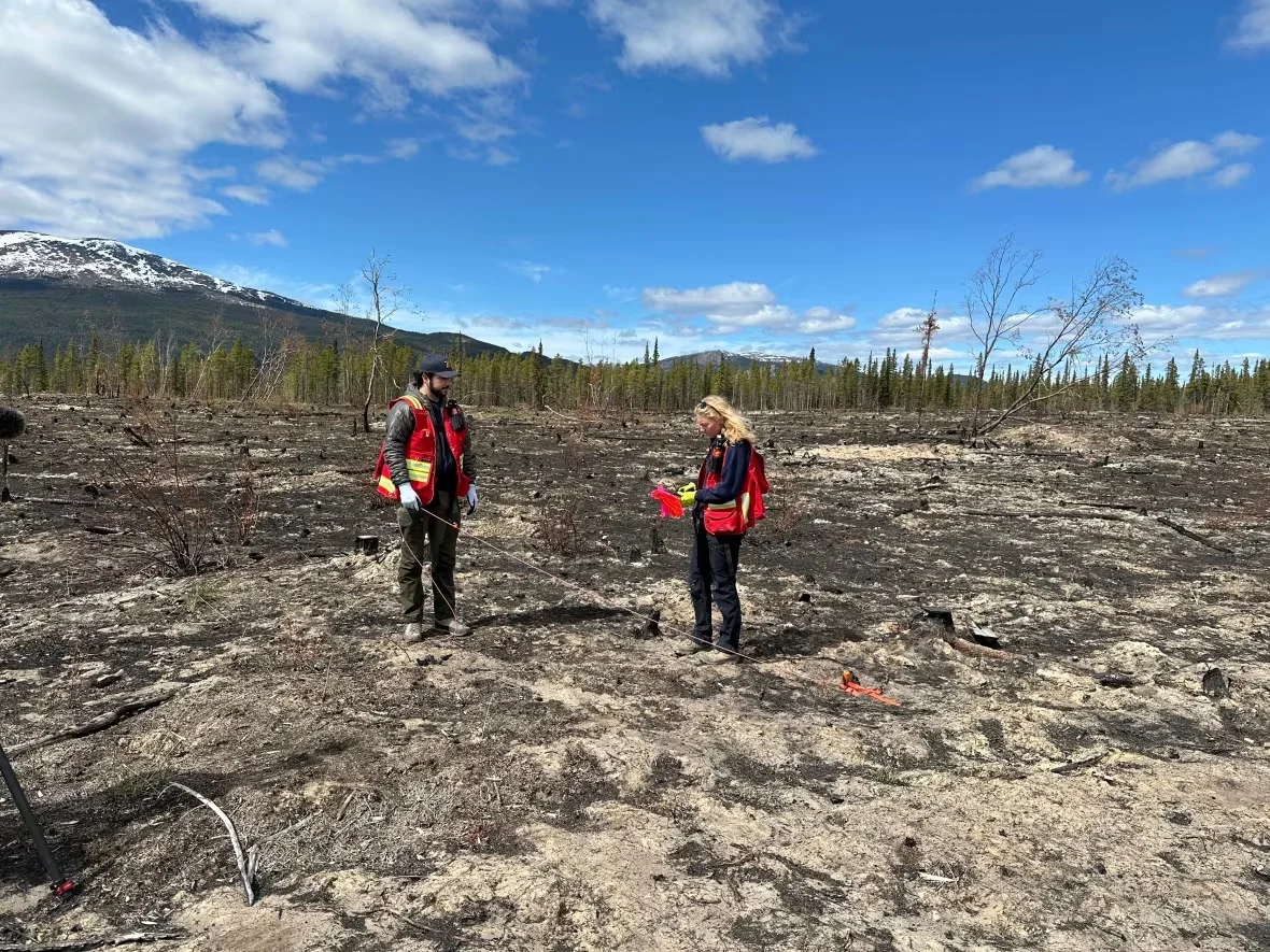 whitehorse-south-fuel-break-1/Andrew Hynes/CBC