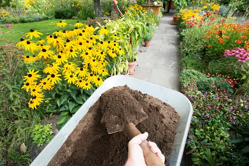 How a garden can boost bees, local food resilience during coronavirus crisis