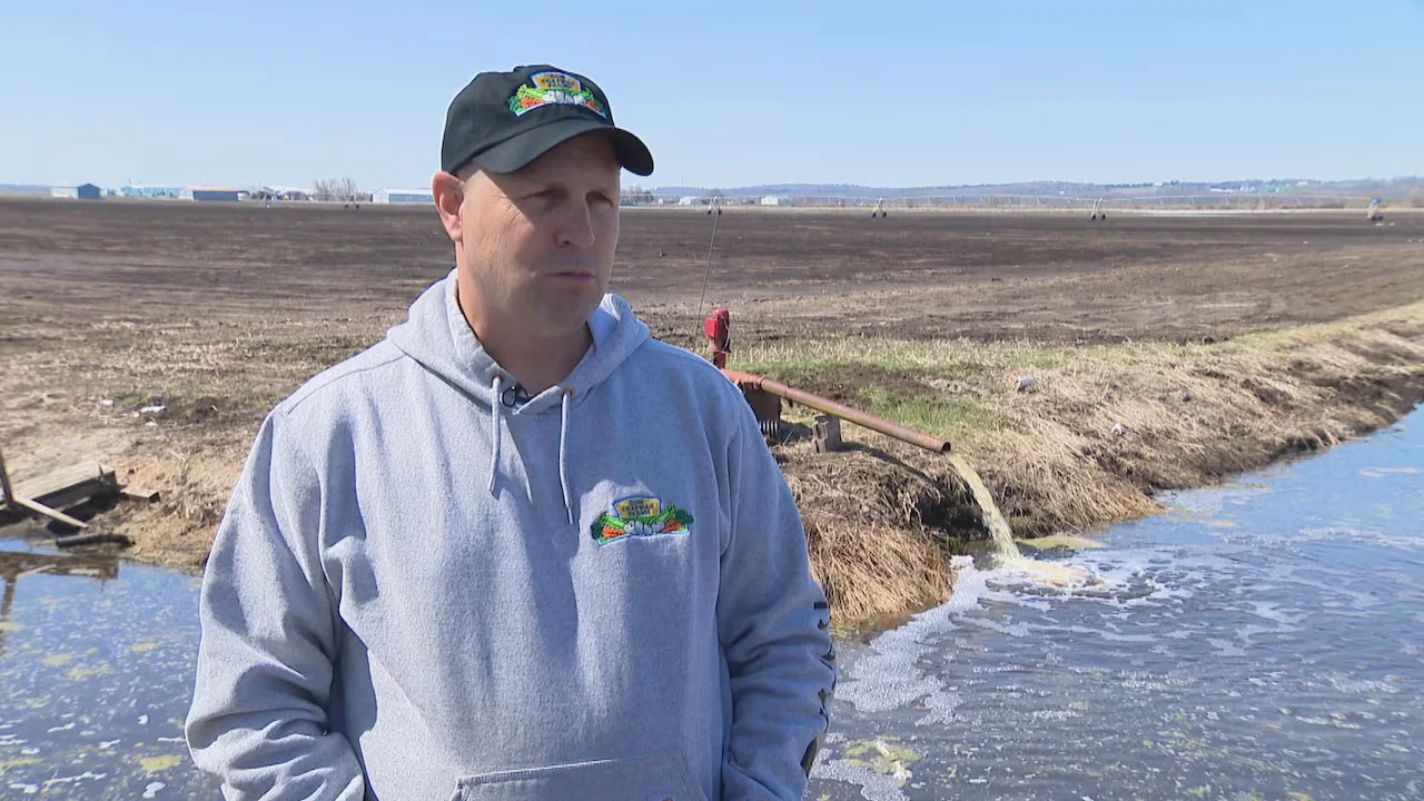 Don Chapman Farms/Sue Goodspeed/CBC News