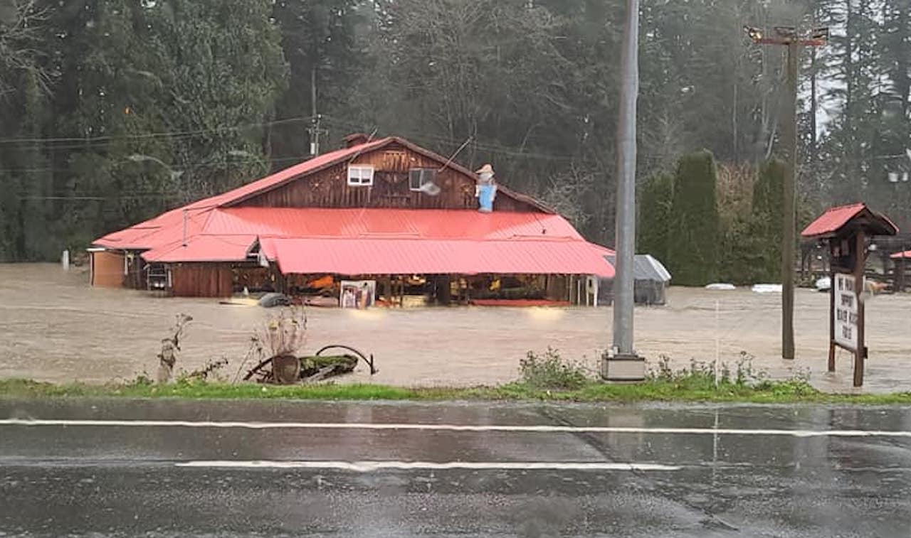 www.theweathernetwork.com