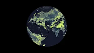 Scientists mapped a 110 quadrillion-km, fungal network beneath our feet