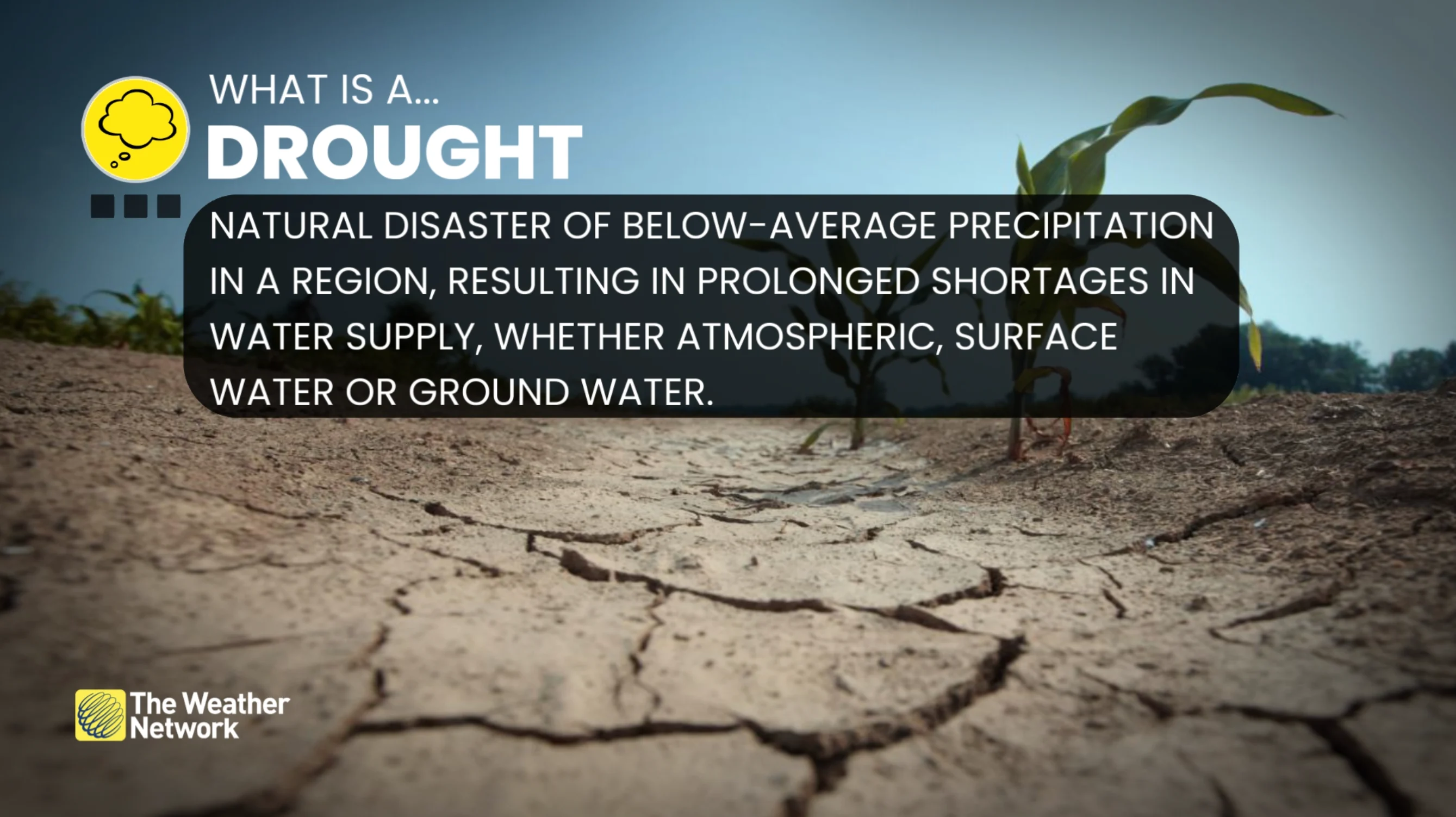Explainer: Drought