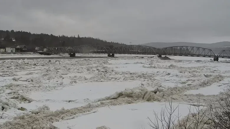 Ice jam along St. John River closes 3 Perth-Andover schools for Monday