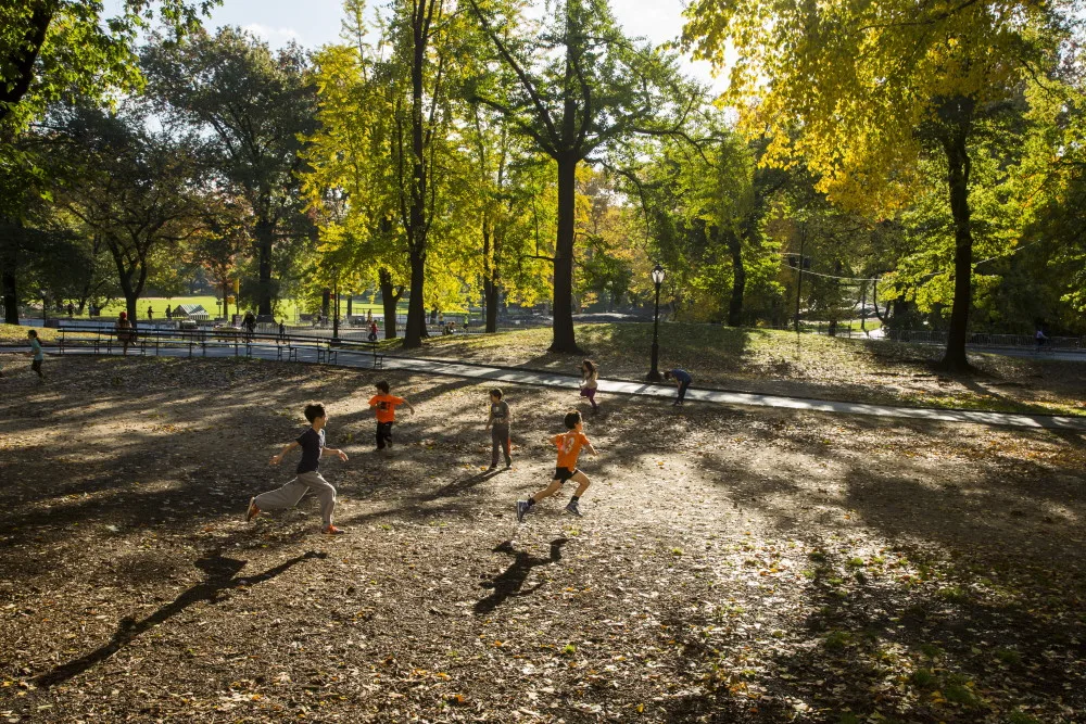 PArk Life Reuters