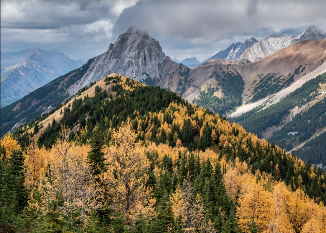 Alberta Rockies, fall - Kyle Brittain