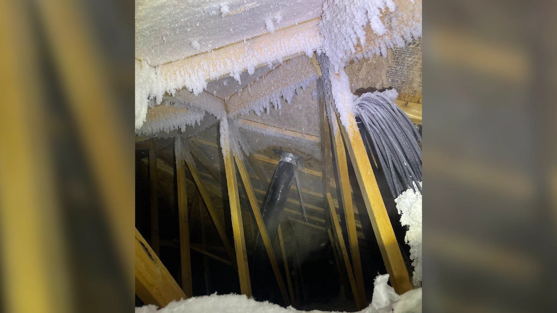 Attic snow/Calgary Elite Roofing/submitted