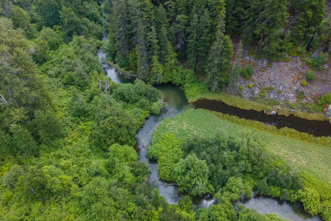 Gates Creek property 3 - photo by Fernando Lessa