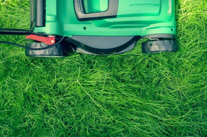 La recette idéale pour un gazon vert 