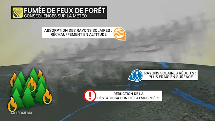 ORAGE2 (2)