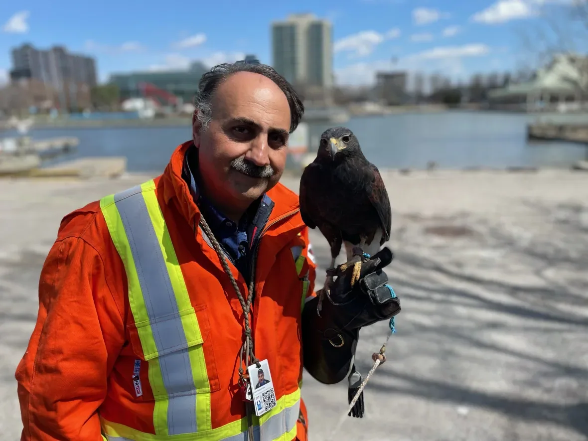 Dan Frankian/Doug Husby/CBC Toronto