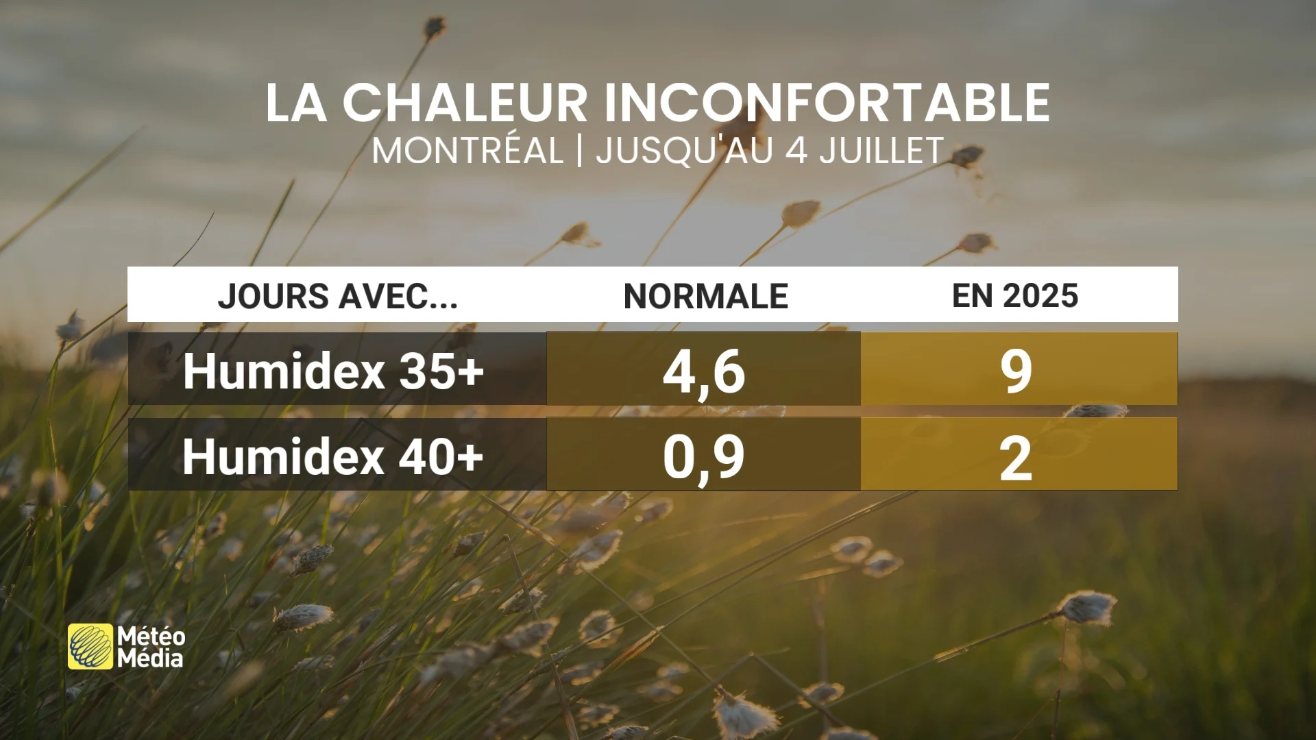 CHALEUR 4