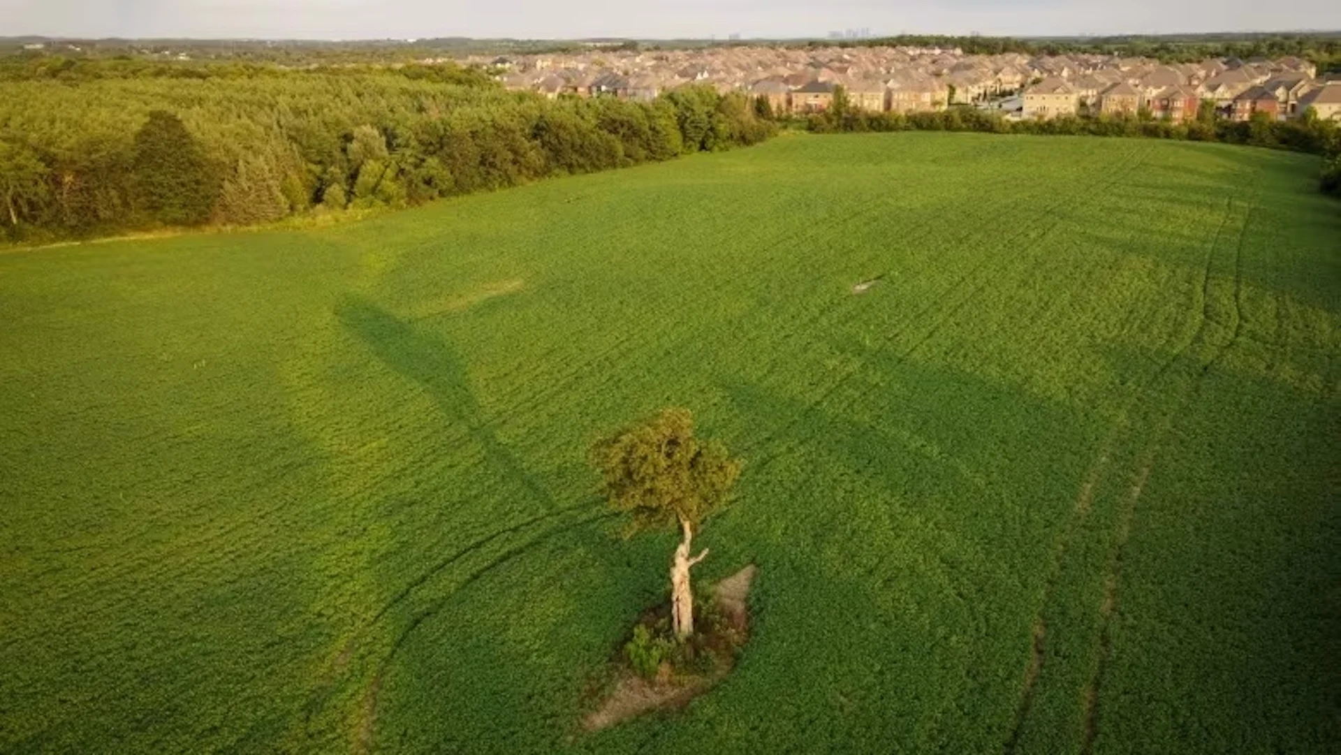 What's a greenbelt supposed to do? Contain growing cities and preserve nature