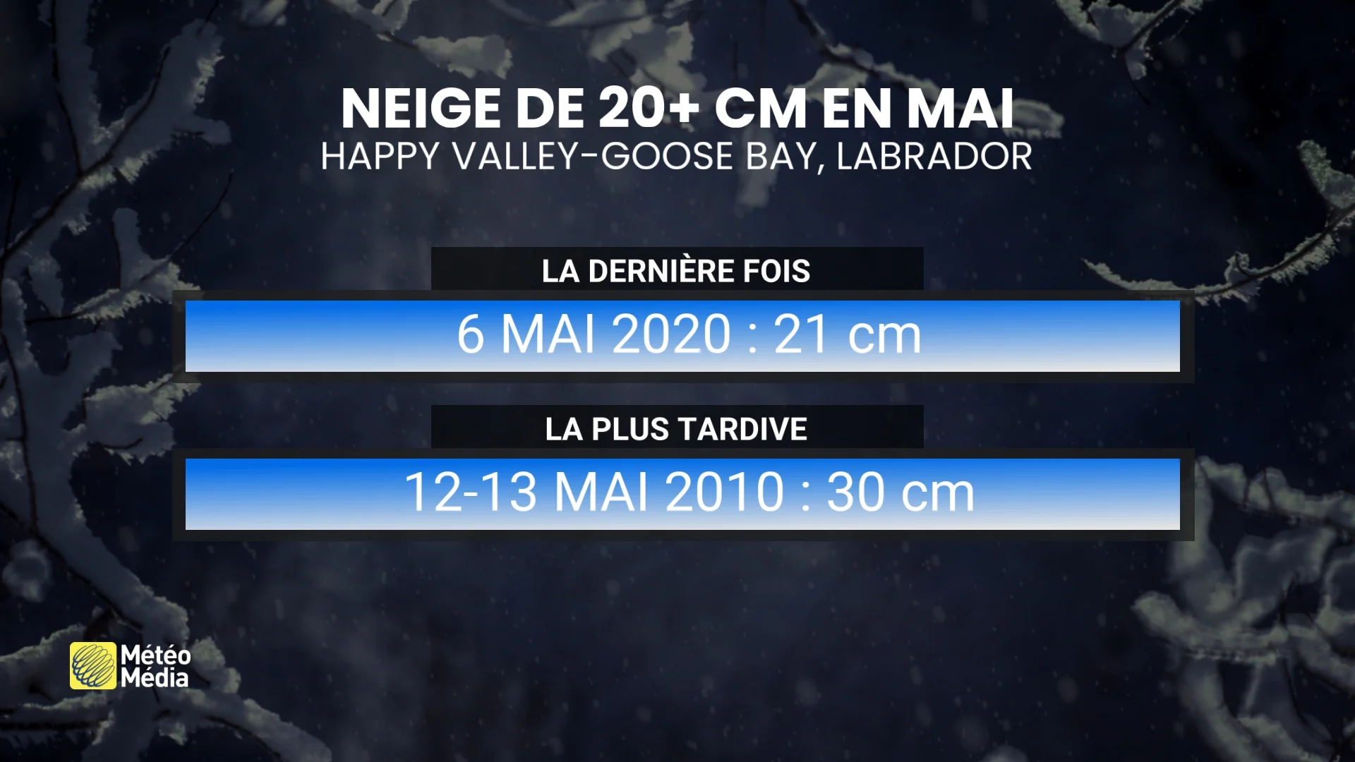 BORDÉE4