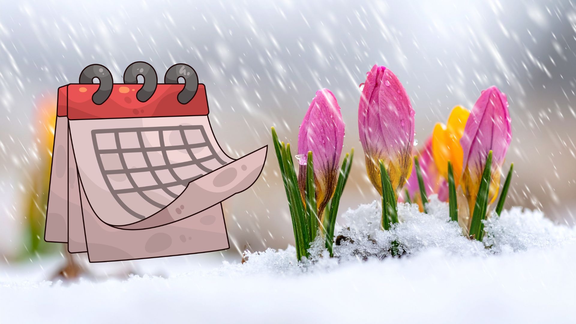 Spring reality check: April snowfall is normal in Canada - The Weather ...