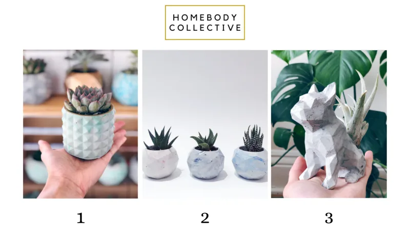 Homebody Collective, CANVA, Plant Appreciation