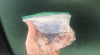 Never scrape your windshield again with this sandwich bag hack
