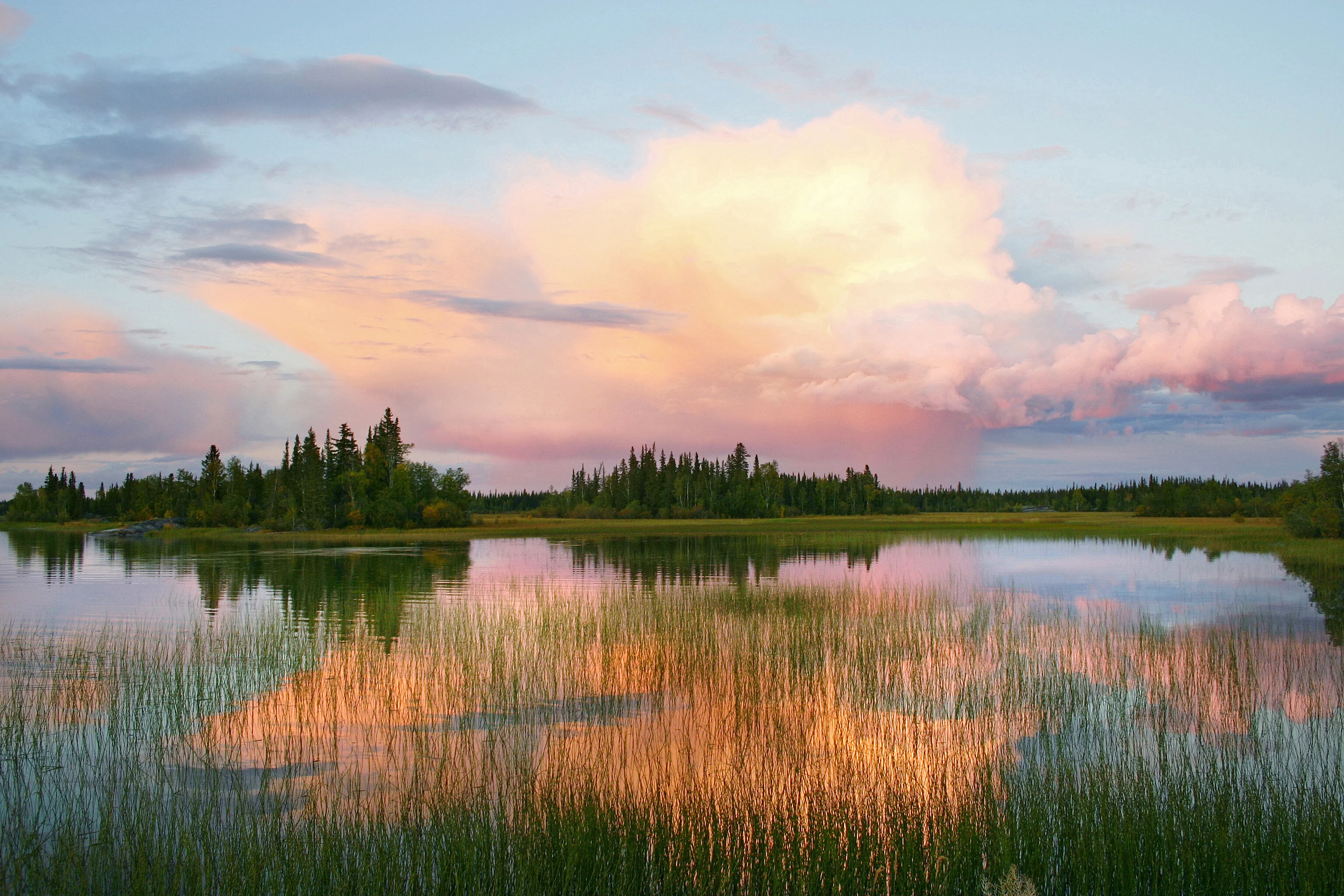 Wetland/Ducks Unlimited Canada/Submitted to The Weather Network