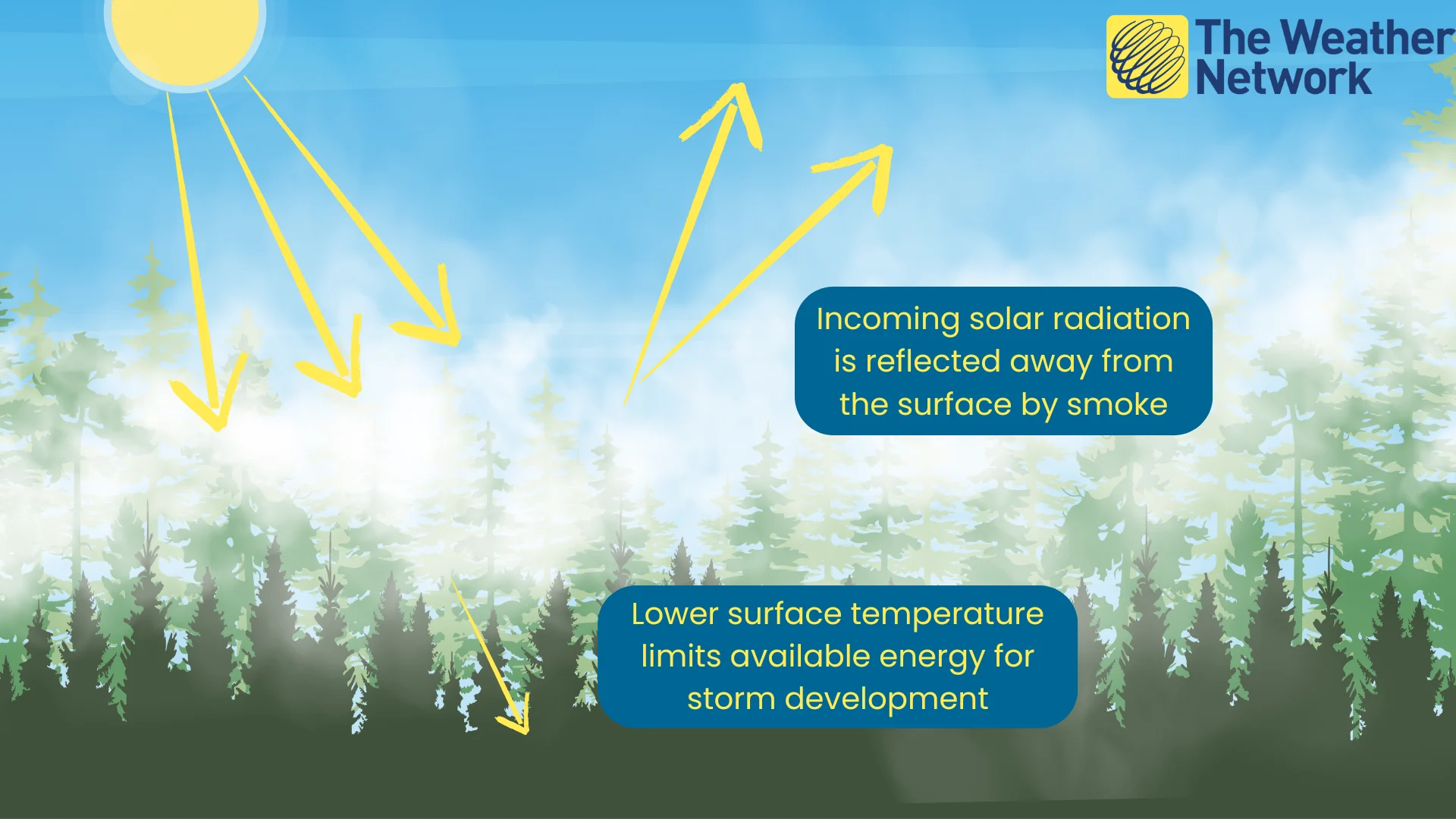 Smoke reflectivity explainer graphic (Canva Pro)