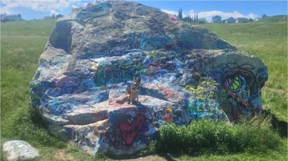 Forget the Rockies, these Alberta rocks are erratic and bolder than most