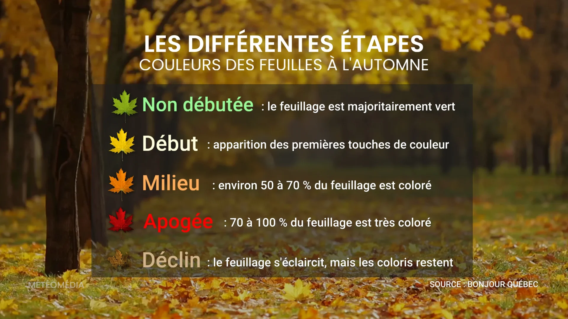 FEUILLE2