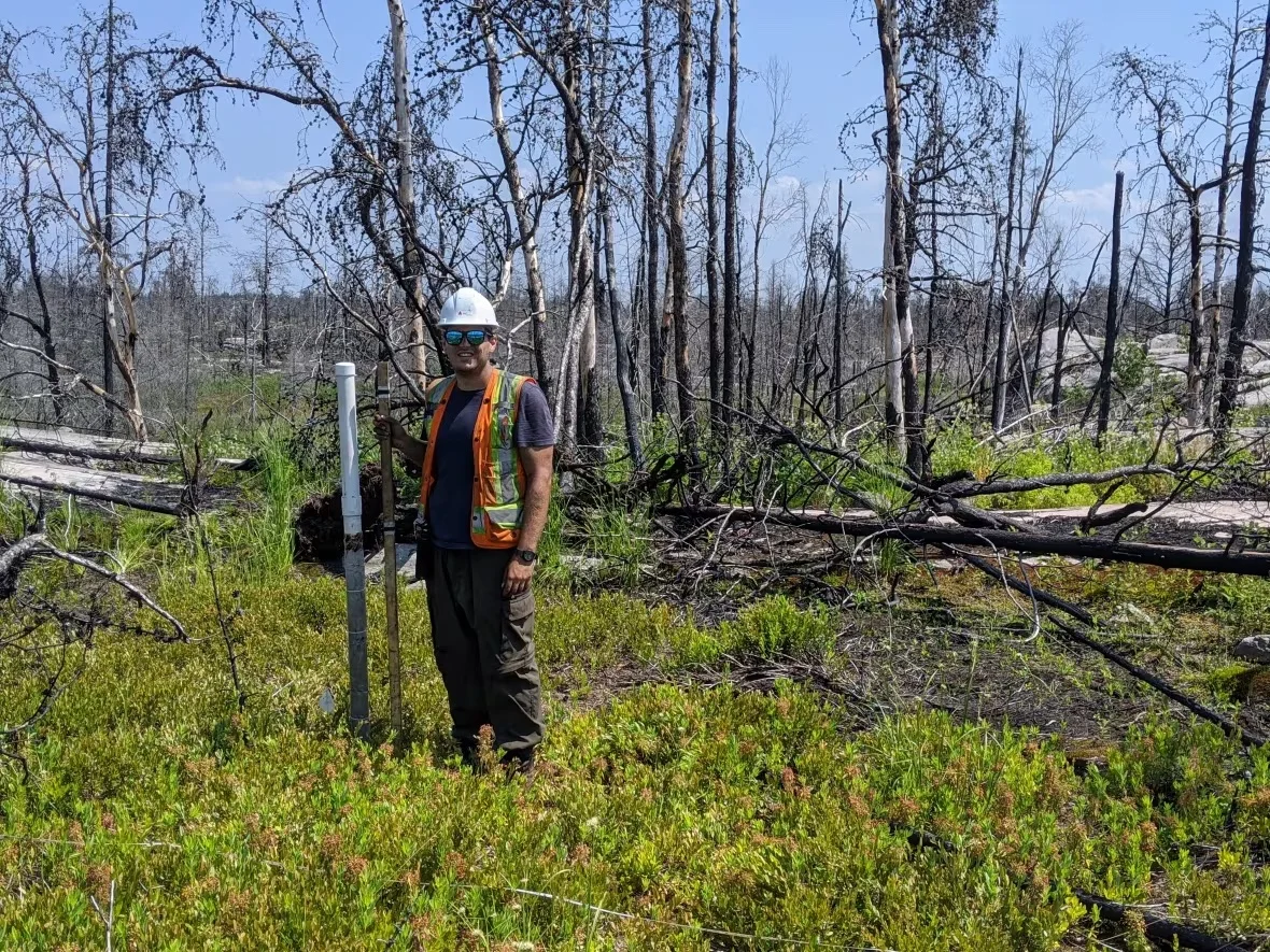 greg-verkaik/Submitted by Greg Verkaik via CBC
